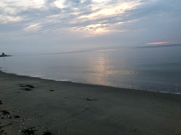朝まずめの香良洲海岸