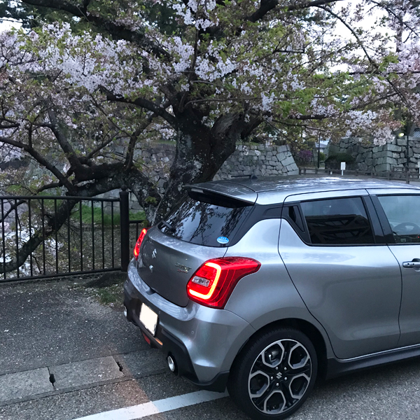 桜と愛車