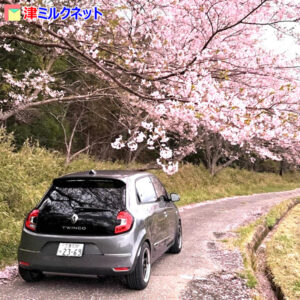 津市お花見スポット